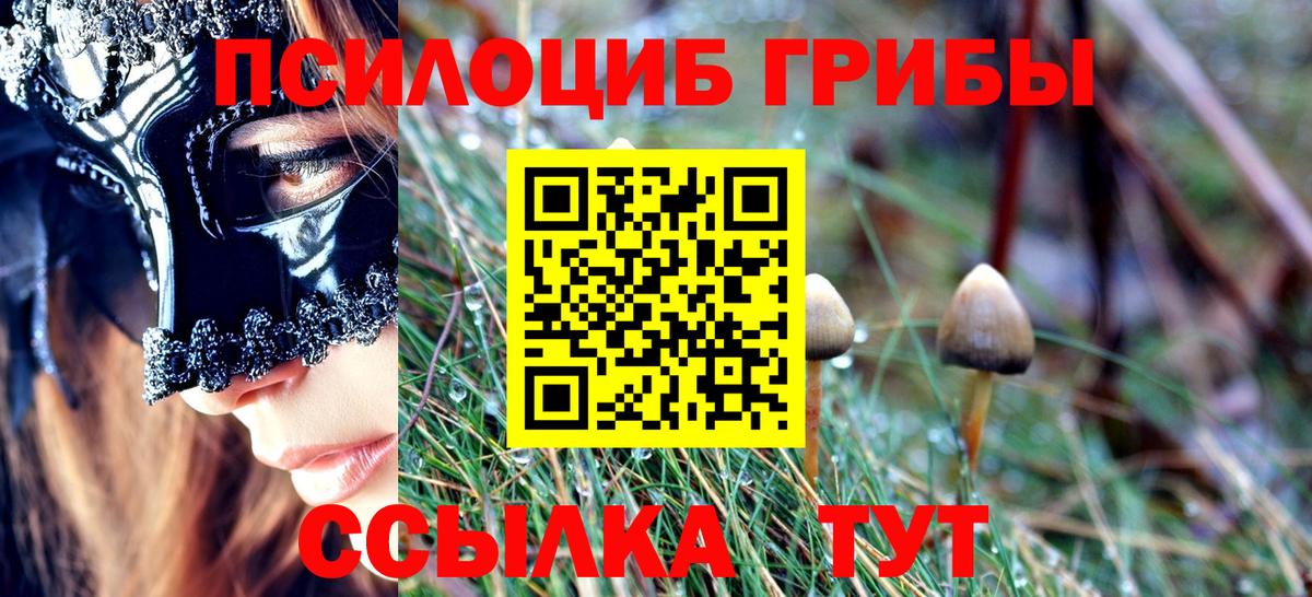 Галлюциногенные грибы Psilocybe  Вход с VPN  закладка  Майский 